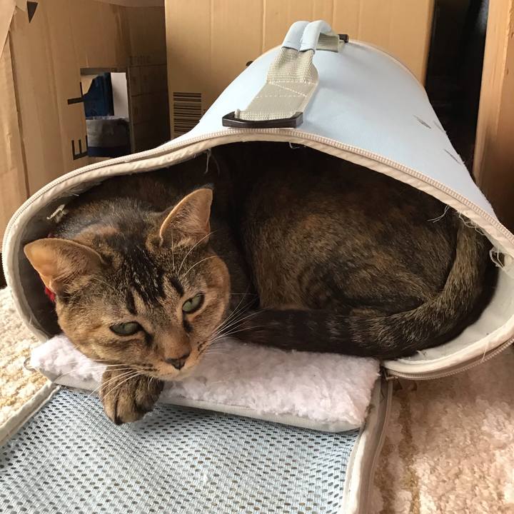 Eb33eed7 37f5 4192 97fd fa672e83df67 1604298574762