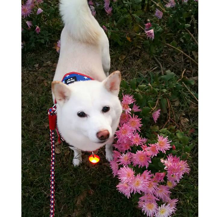 Eb34049e 0a04 4006 8a59 9ecd2dc0b25c 1572943509620