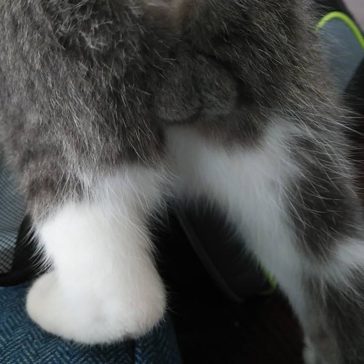 Eb3405df 151f 46a5 ac17 837696b6c695 1571097578508