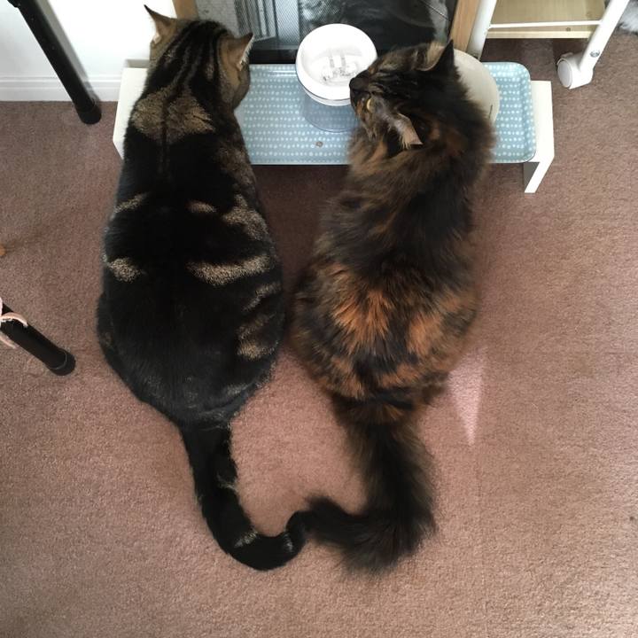 Eb346b7d cba7 4541 8c77 50ca0dd7ec77 1549115202787