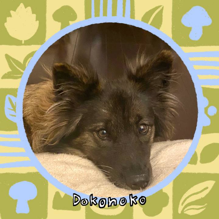 Eb34c93b 60a8 4c9b 92b3 0ee8f1714a3a 1761660592038