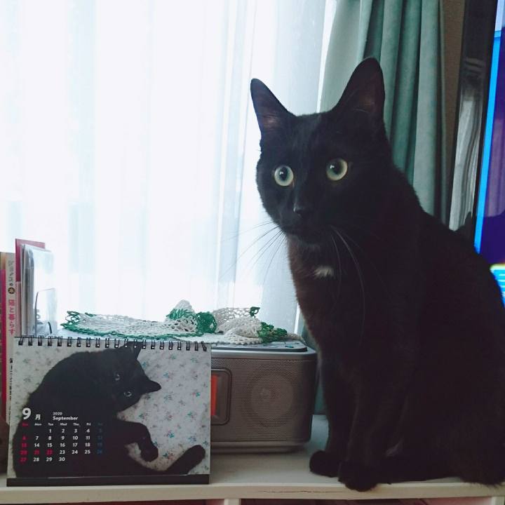 Eb34d7ef e417 4727 b925 93407f238883 1600477366934