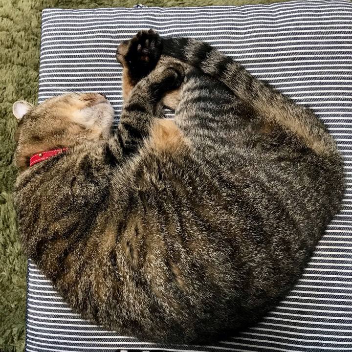 Eb353d28 3675 46f9 ac26 6171d9e8ba55 1630808004533