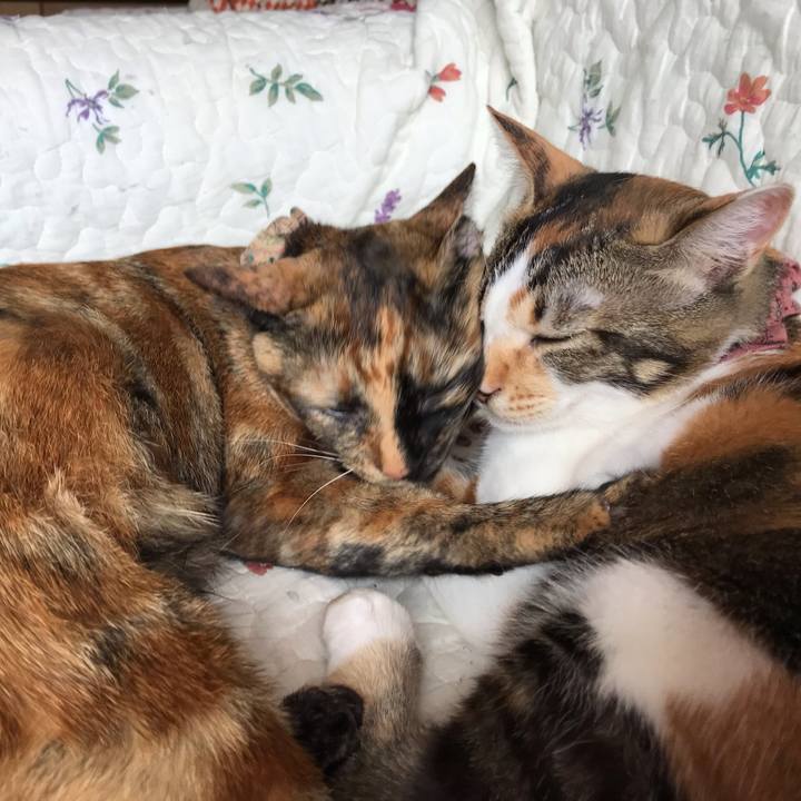 Eb354595 3eb3 42f5 957d c846ef08bbff 1629690860228