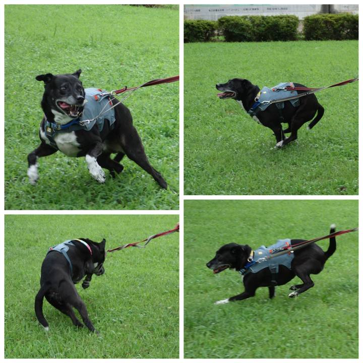 Eb354dcd c4dd 4f73 b808 be096e4c4992 1752534807798