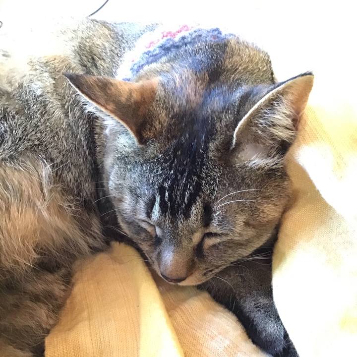 Eb35685c b71b 415f bce2 3f58352ccd5a 1619478875507