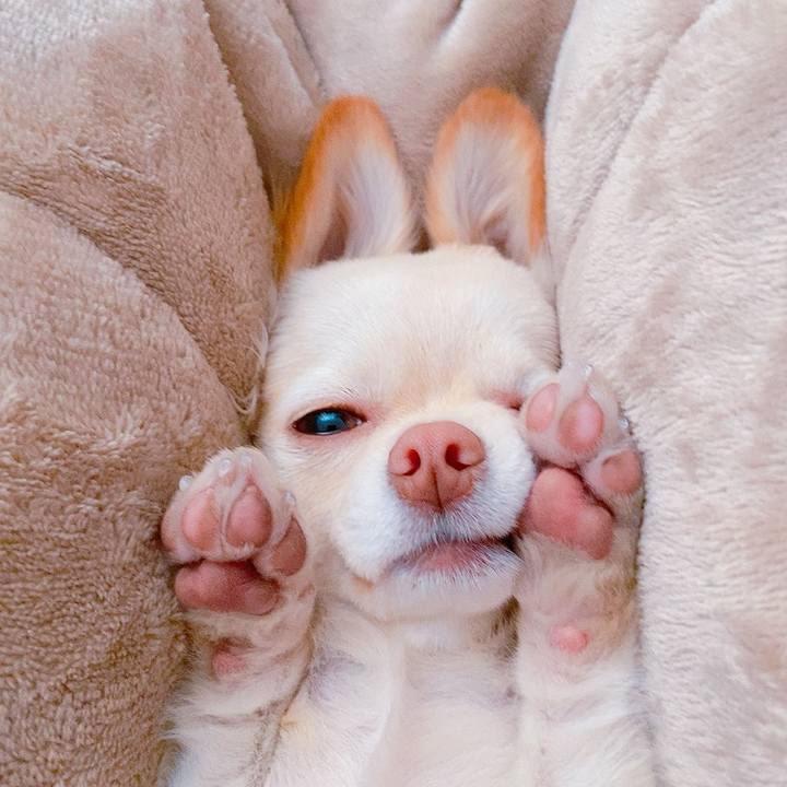 Eb358ac7 2cf5 4ffe 8a9a 3e4379a55e99 1612853297342