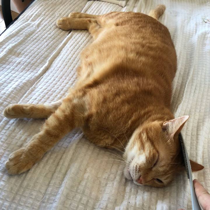 Eb35f6bb e1e3 429d 9641 ca4d9a4bbfec 1599378548855