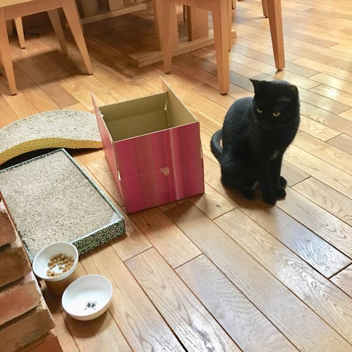 Eb360f93 ec46 44c9 9766 0d7cbc65ee1e 1532154085310