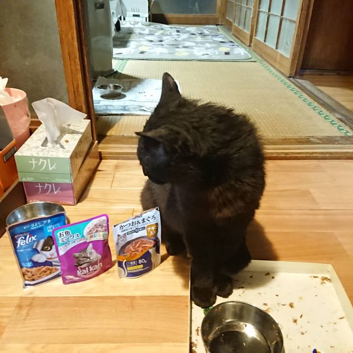 Eb361990 ccfa 4661 80e2 b98eba614869 1622985800734