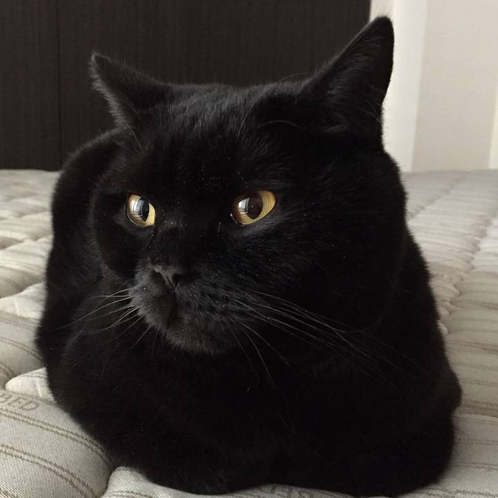 Eb366783 1e92 44ec aa80 d59738821d86 1583877708132