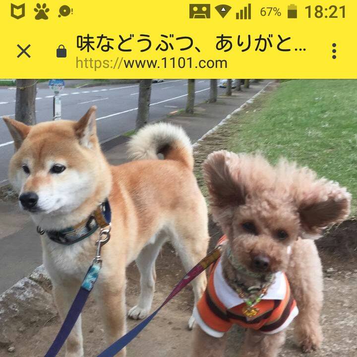 Eb36ab1c 3861 481c 8e00 ab0d0f31e40d 1567589574982