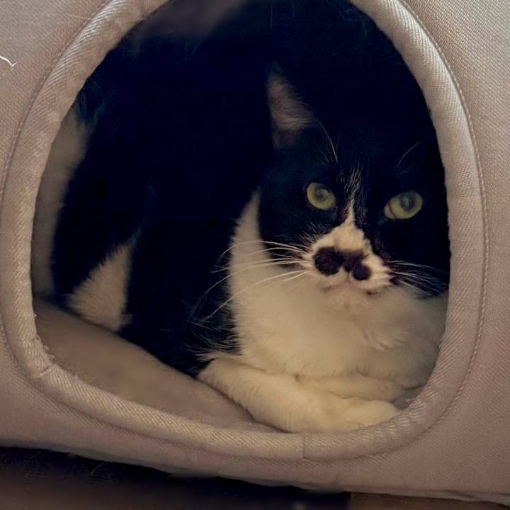 Eb36dcd7 9a2d 4824 ba70 fa5d23cd5480 1733098834472