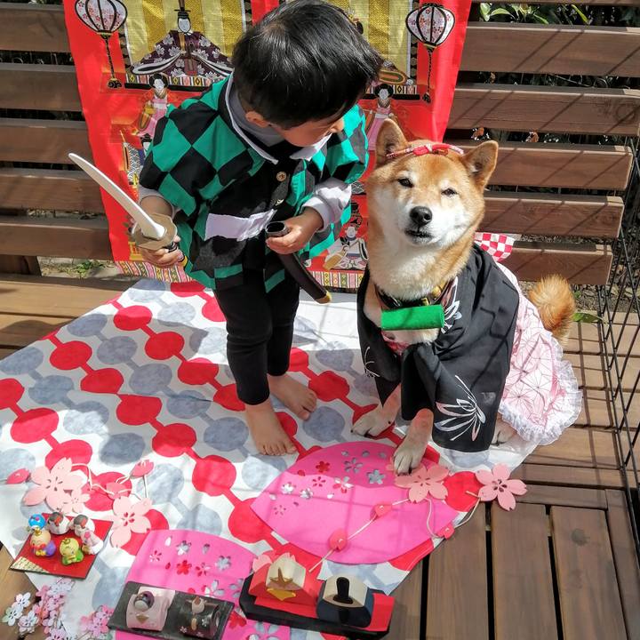 Eb370b99 f81d 48eb 9dd1 30296c83c106 1614670495524