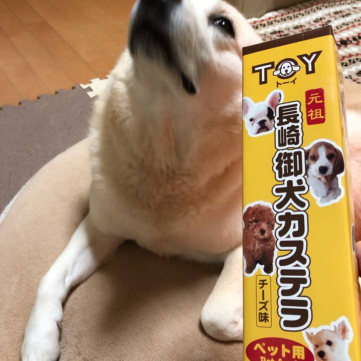 Eb37244c c1c8 47d6 919e 37d21714478b 1542804819806