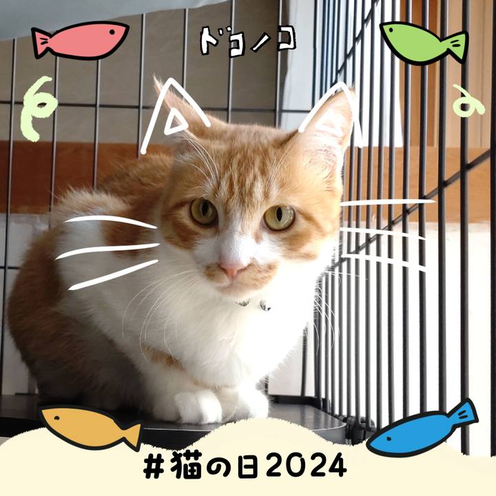 Eb372d4c fb02 46a6 9235 b80ecec13fea 1708553118211