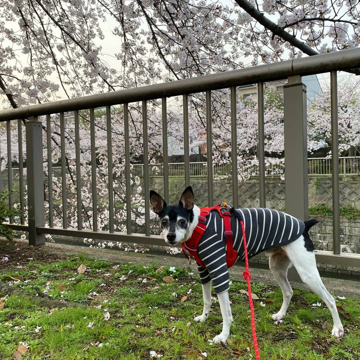 Eb3741b9 ff7e 4cd4 adda d202aa82eb18 1617059645533