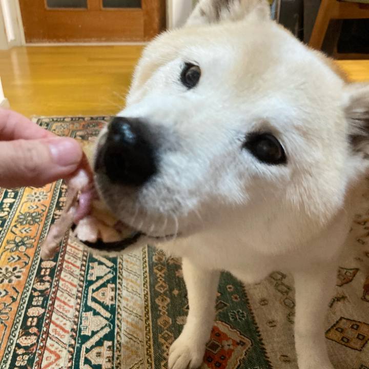 Eb375aad e33f 43d9 a815 3aa43cc6e33b 1730647248998