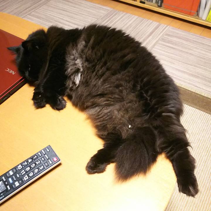 Eb379d5a c801 417e 81ee 80a9157e113d 1563103364432