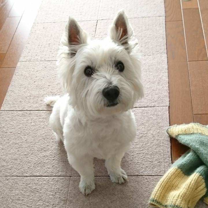 Eb37a6a9 dd8b 413d a1db 68eacb3102d1 1518943993451