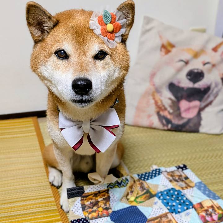 Eb37b031 a20c 4b56 8810 5f49f1e46a57 1760948505030