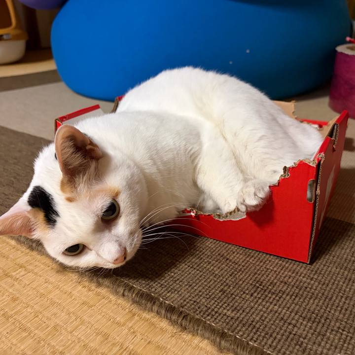 Eb382733 c3be 4f08 8c89 21b0ee99122f 1772808498097