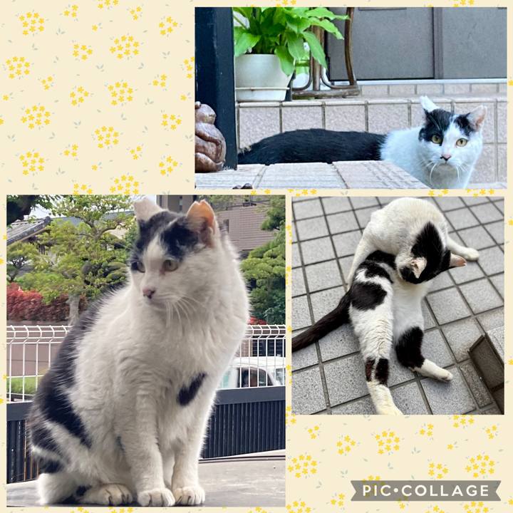 Eb38447b 1860 43ce 839a b78f20eaee6d 1776313151189