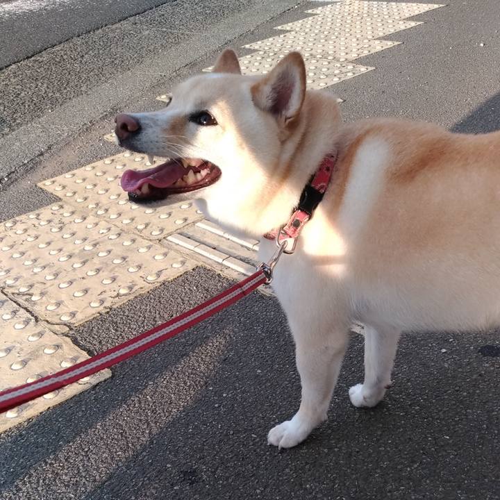 Eb384493 6824 4554 bf36 37a315177ad7 1598826752707