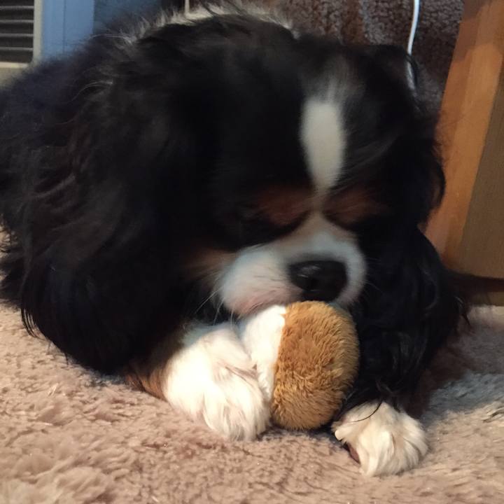 Eb38780c b632 4500 ac21 c1bb02ca02c0 1518173976575