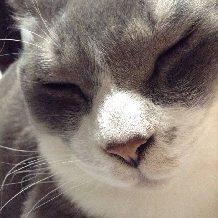 Eb3879d8 e9b9 4a74 9617 e369bda46beb 1525218213270