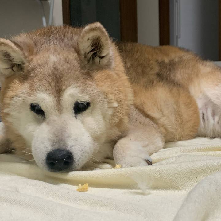 Eb38809d 1932 4cdc a6db cdc7c6d4fb5b 1689860796940