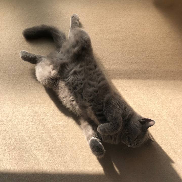 Eb389443 0fd5 4e39 aad0 720a7563e15c 1575516645239