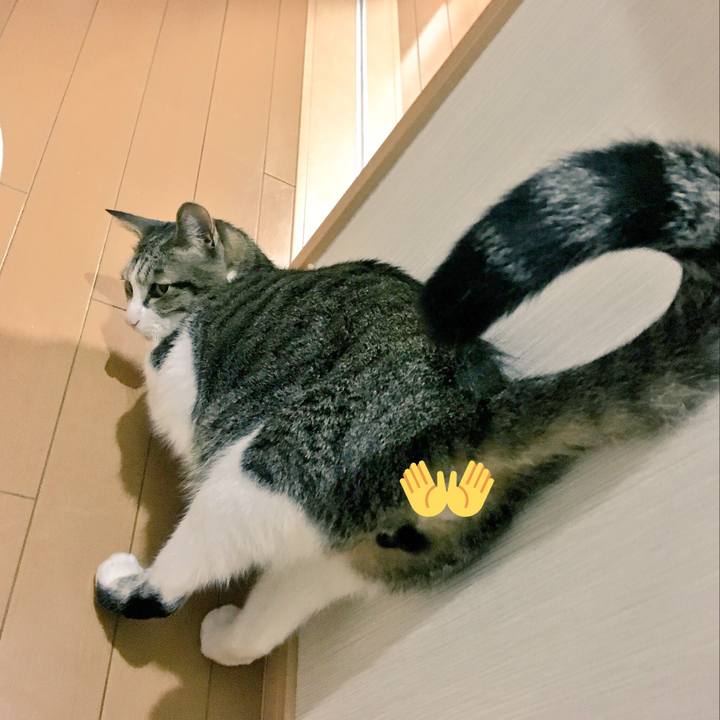 Eb389d0b 1087 4d50 839e 8283b3bdab8c 1539953341187