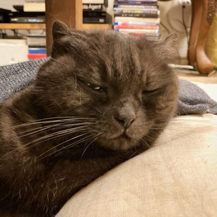 Eb38dc1f 2a7f 4a3f 966e 6c8611fbfb17 1633137365091