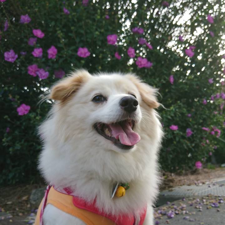 Eb38ec82 f619 4f56 b3b9 21d666b256a2 1532924189159