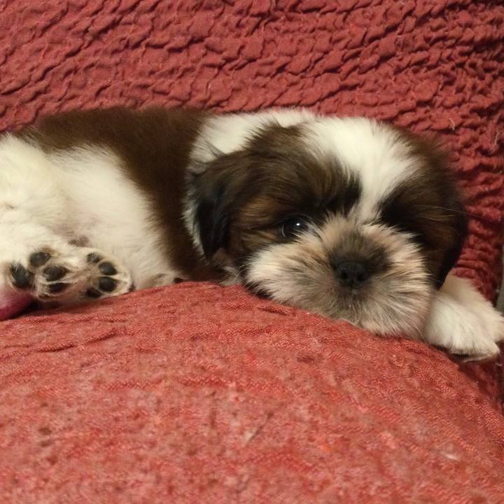 Eb39078b 55da 479c 92b4 f47012318f28 1610373171620