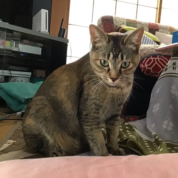 Eb391d6c 6e8c 4101 9d83 0a9973eef7a5 1587882820049