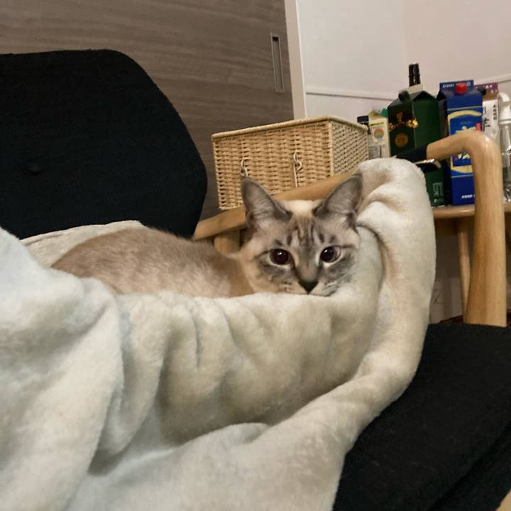 Eb393612 9fa8 480b 992f c6be4e7f5b6f 1607605028826