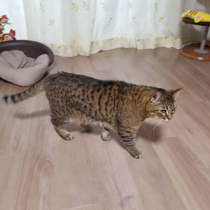 Eb39544e d599 4548 8b2e 83938dcc3fc4 1618350157764