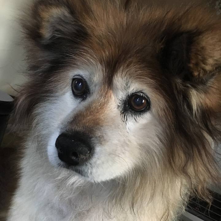 Eb3969ab beca 416e ae01 24cbc7b9b546 1560036173688