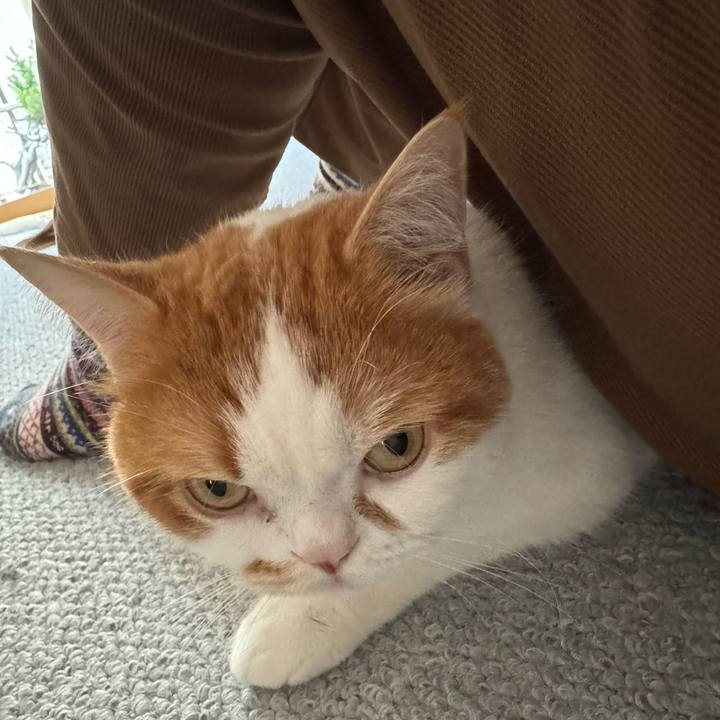 Eb398c7a 1e88 4d40 8648 58a174aea5d9 1775012923275