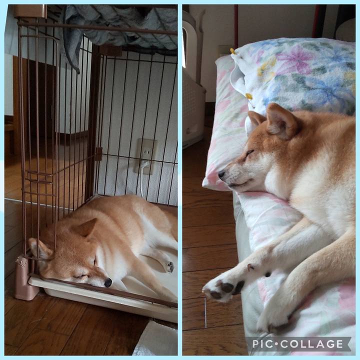 Eb399515 b354 4015 9d0b 5fdbe84b4d12 1759470118863