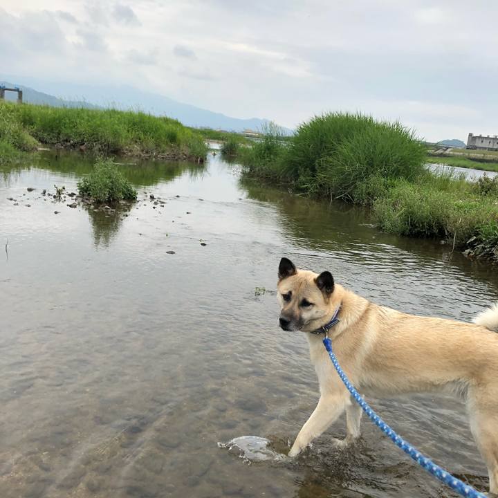 Eb39a002 55bf 49ed ab92 83f6641e1329 1590910456031