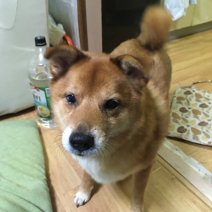 Eb39c437 4276 45af 8917 6bf425417495 1515677814179