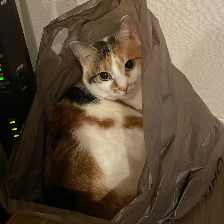 Eb39c7e3 e1d0 409c b03c 09abc7d5349b 1621431891735