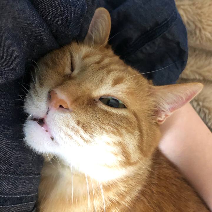 Eb39dcb0 b362 49a4 b4bd ea1f82905671 1616418202927