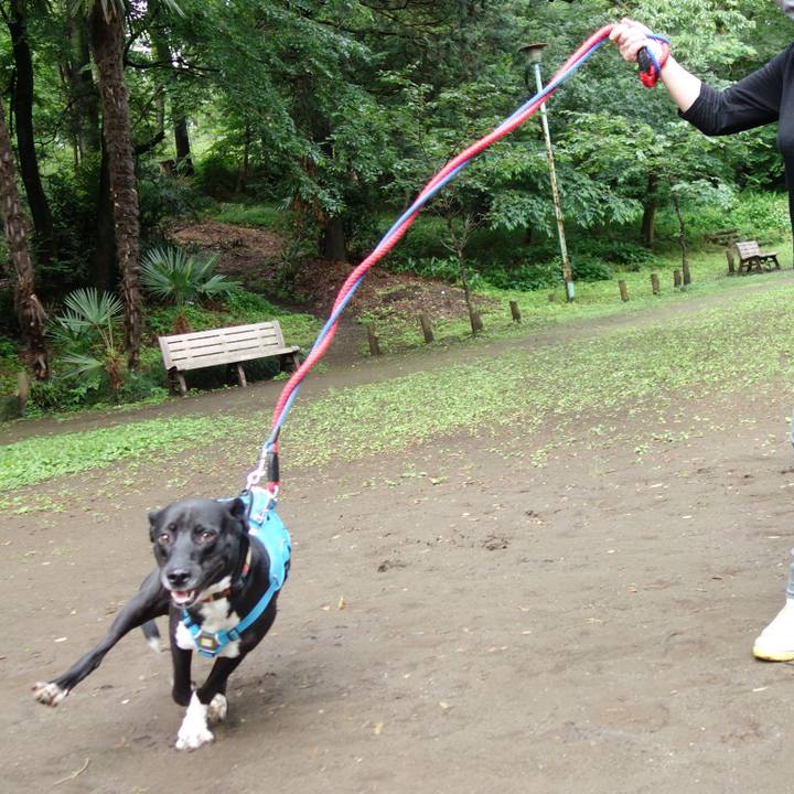 Eb3a16ed d252 4e2a 8f80 562cfc04754d 1622159958785