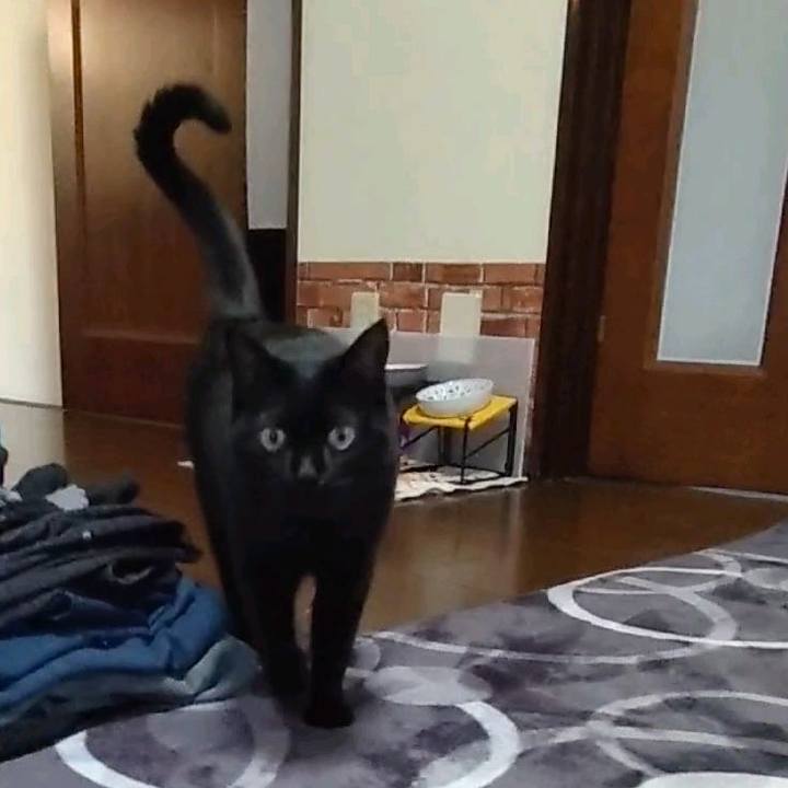 Eb3a7888 f652 4243 b6e3 da94305b4fc7 1670314290526