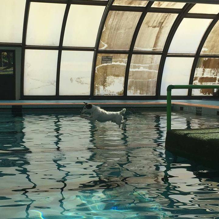 Eb3ab79b 79ad 4611 8256 1a4ad50fe685 1510011420144