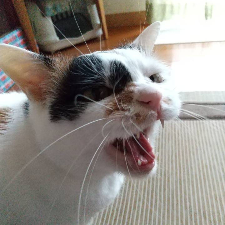 Eb3ac9aa c6a8 4455 9ffa 7a059da03ff7 1593991781255